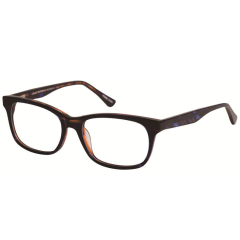 GP 6093 BLUE/TORTOISE