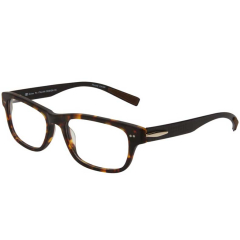 GP 61 TORTOISE
