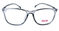 FG002