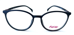 FG004