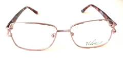 VE166 C4